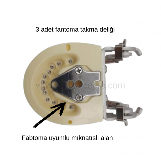 Fuji Fantom Çene Diş etli- 28lik