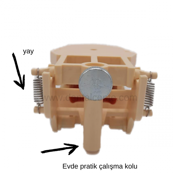 Fuji Fantom Çene Diş etli- 28lik