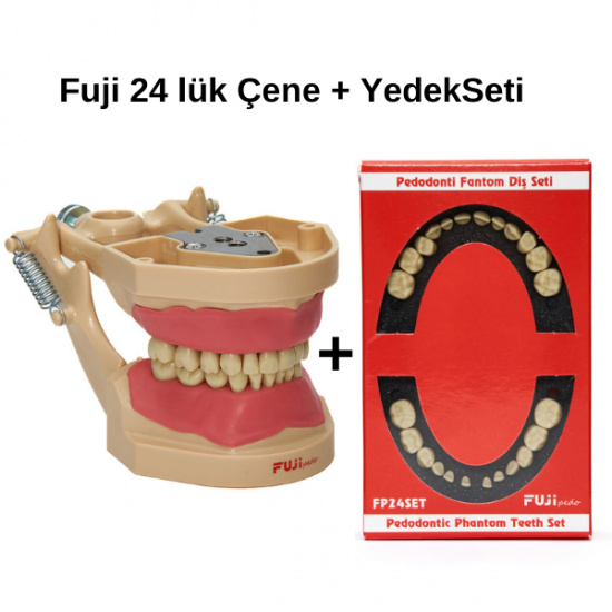 Fuji Fantom Diş Etli Çene 24 lük + Yedek Diş Seti