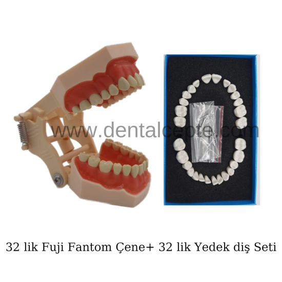 Fuji Fantom Diş Etli Çene 32 lik + Yedek Diş Seti 32 lik